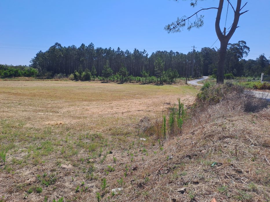Terreno Rústico e Urbano