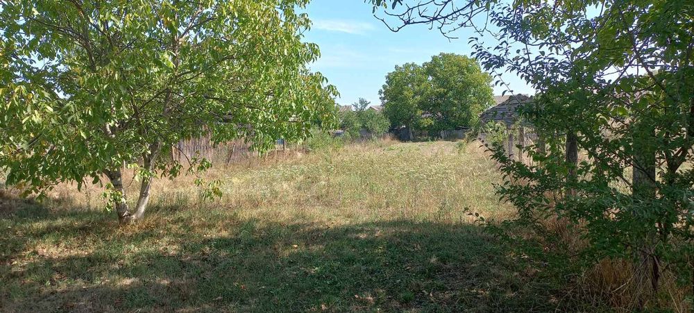 Продається будинок с.Вонігово, Тячівський р-н