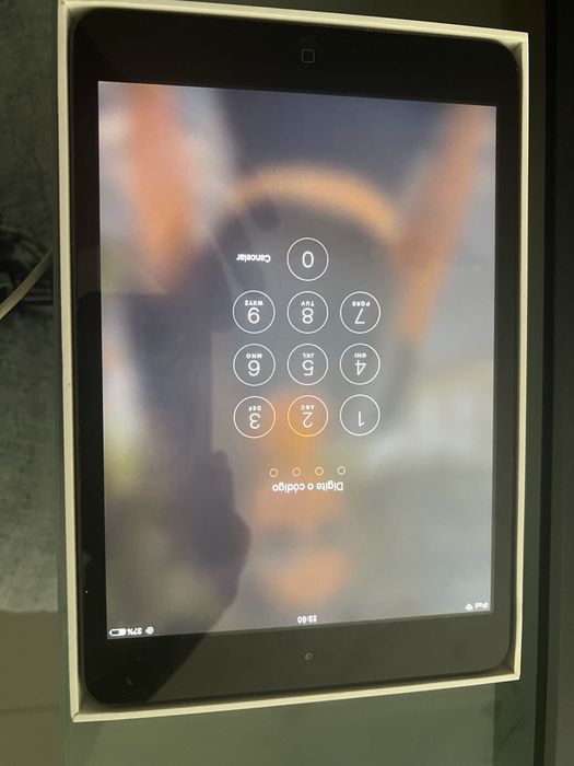 Ipad.        mini
