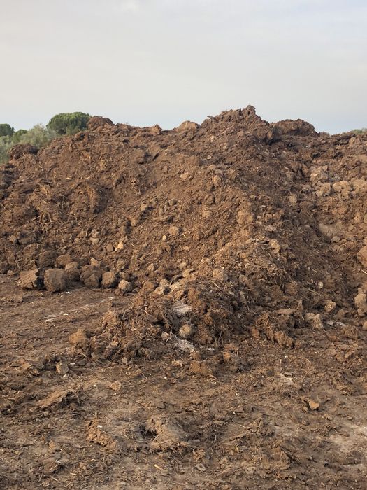 Estrume de ovinos e bovinos