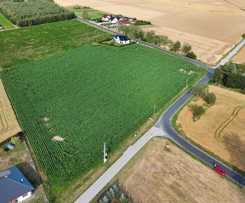Działka siedliskowa w Gościejewie - Widok 2