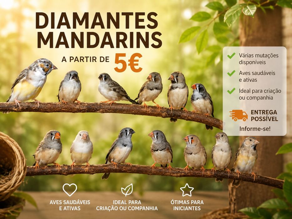Diamantes mandarim desde 5€
