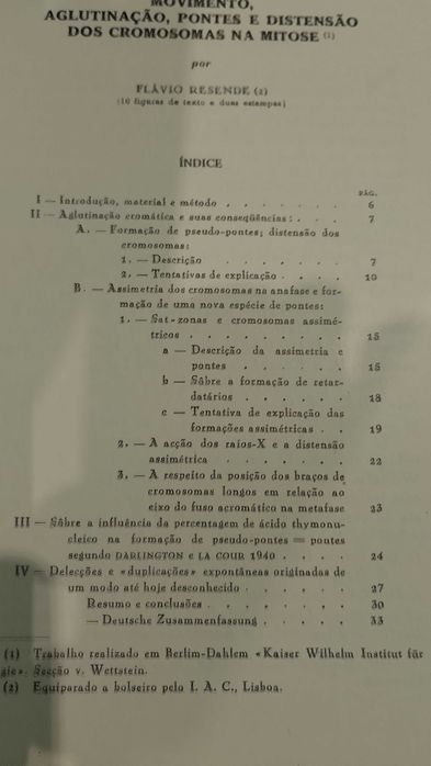 Movimento, Aglutinação, Pontes e distensão dos Cromosomas na Mitose