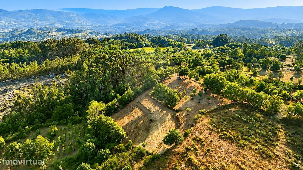 Terreno  para venda