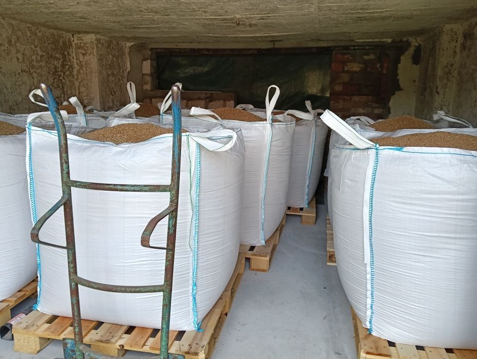 Sprzedam przenice ozimą Chewinion