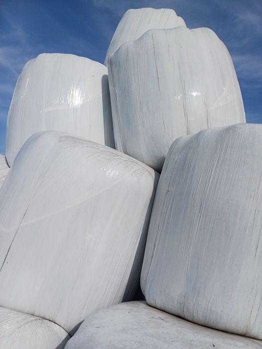 Sianokiszonka w balotach