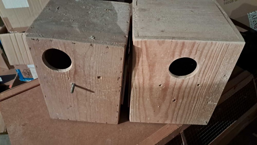 Ring necks para ceder