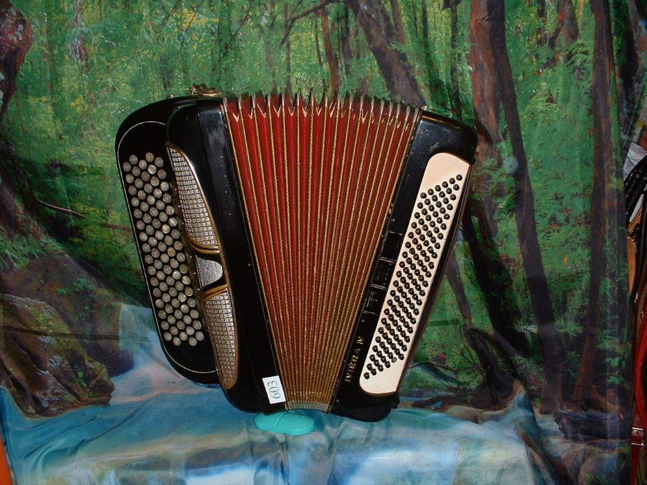 Acordeão Avenda R 603