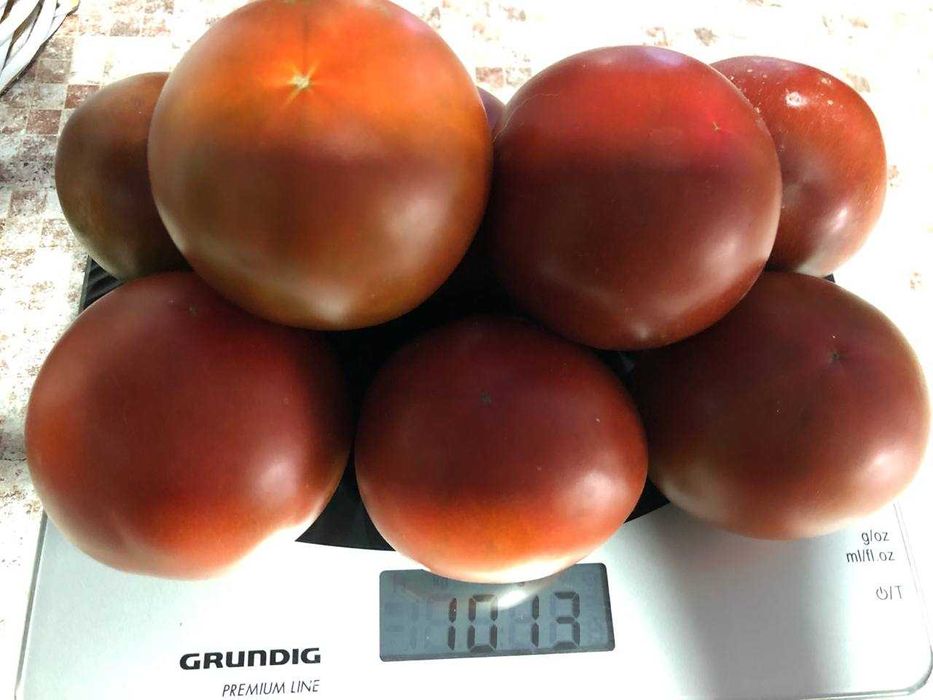 Насіння надврожайного томату Мавр, 150 шт.