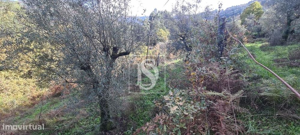 Terreno  Venda em Candemil,Amarante