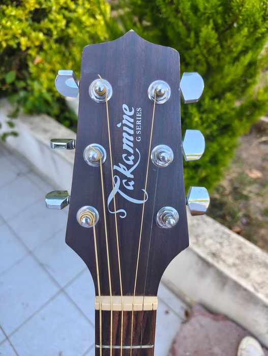 Guitarra Takamine G220