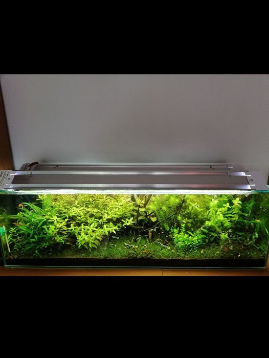 Lampa belka led do akwarium roslinne