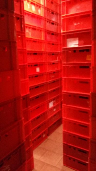 Pojemniki e2, drobiarki na mięso, wędlinę, drób, 60x40x20 30 kg K-ce