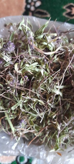 продам ісландський мох ; чебрець \  від кашлю\