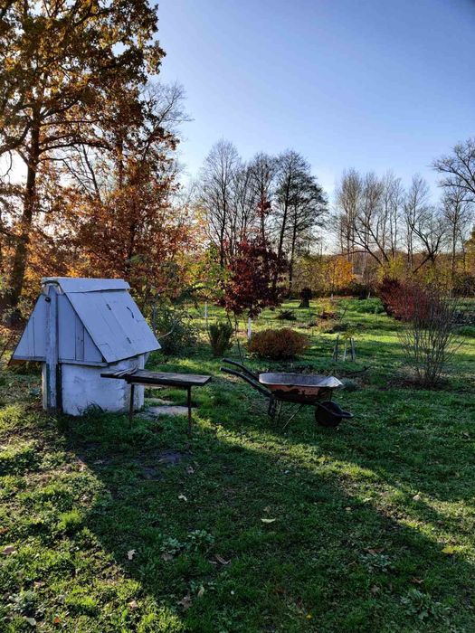 Продається будинок в селі Корніївка