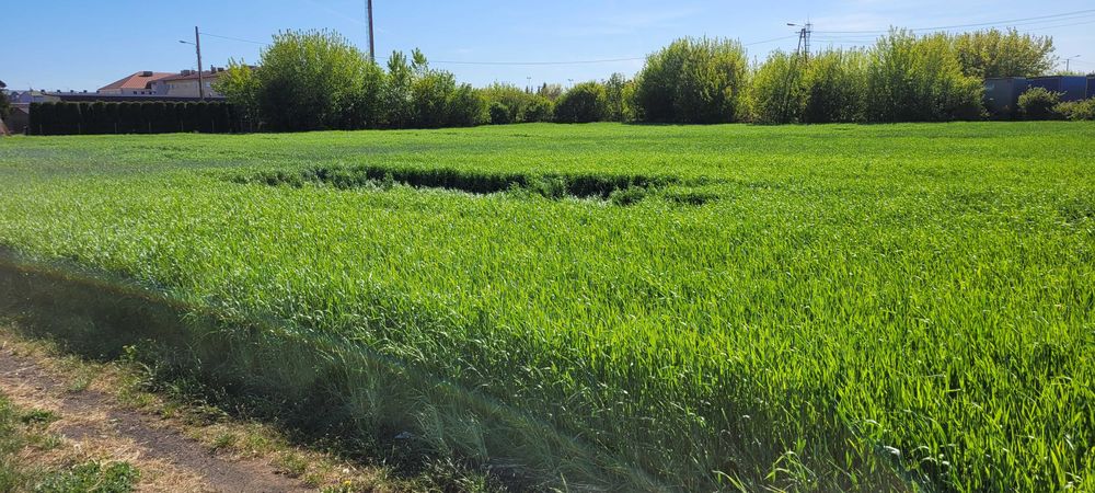 Sprzedam działki z warunkami zabudowy w Szczuczynie