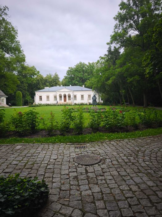 Czarnolas-Kolonia - Działka 2,5 ha na sprzedaż - Bezpośrednio - Widok 5