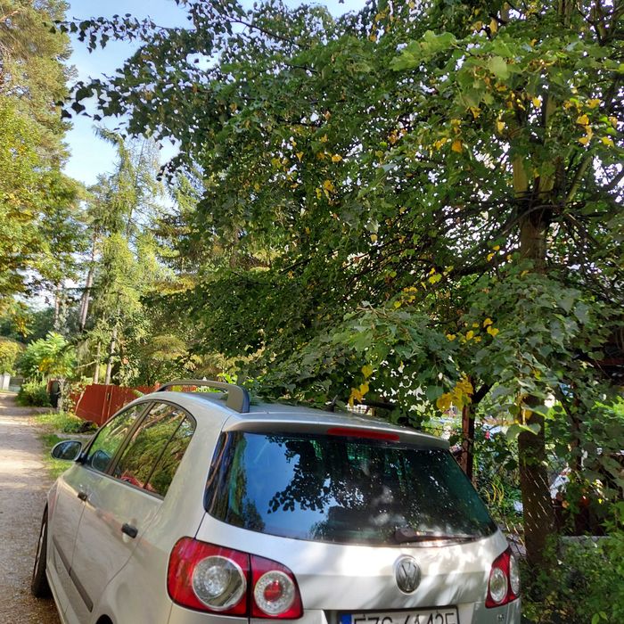 Volkswagen Golf plus