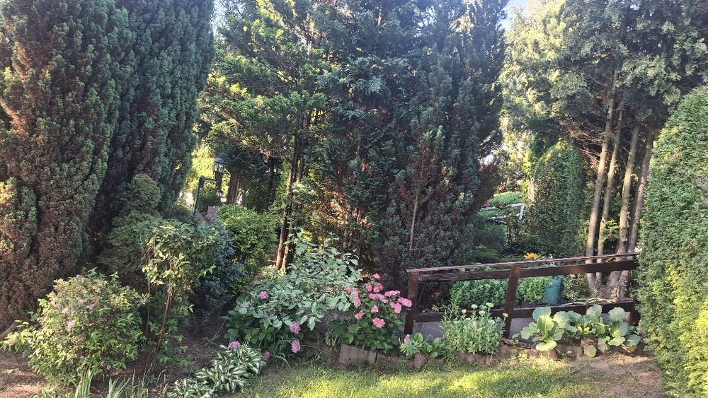 Sprzedam piękną zalesioną działkę z widokiem na jezioro - Widok 2