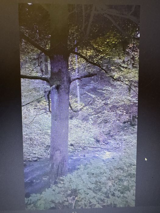 sprzedam działkę  600m Potoczek gmina Międzylesie Nysa Kłodzka