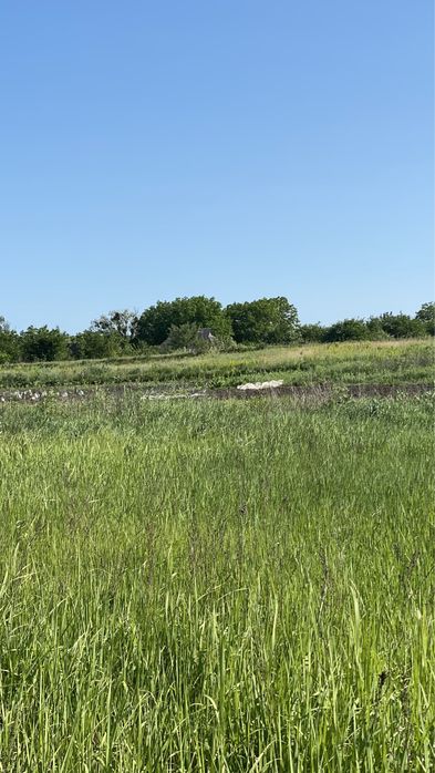 Мазанка + Ділянка 51сот. біля води, Обухів р-н. с. Красне Перше