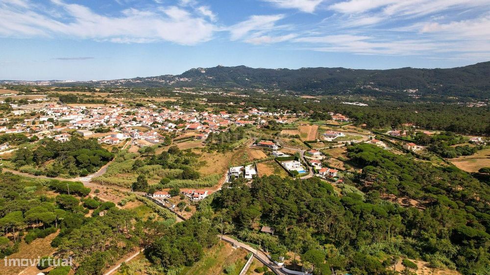 Terreno rústico de pinheiros perto das praia de Sintra