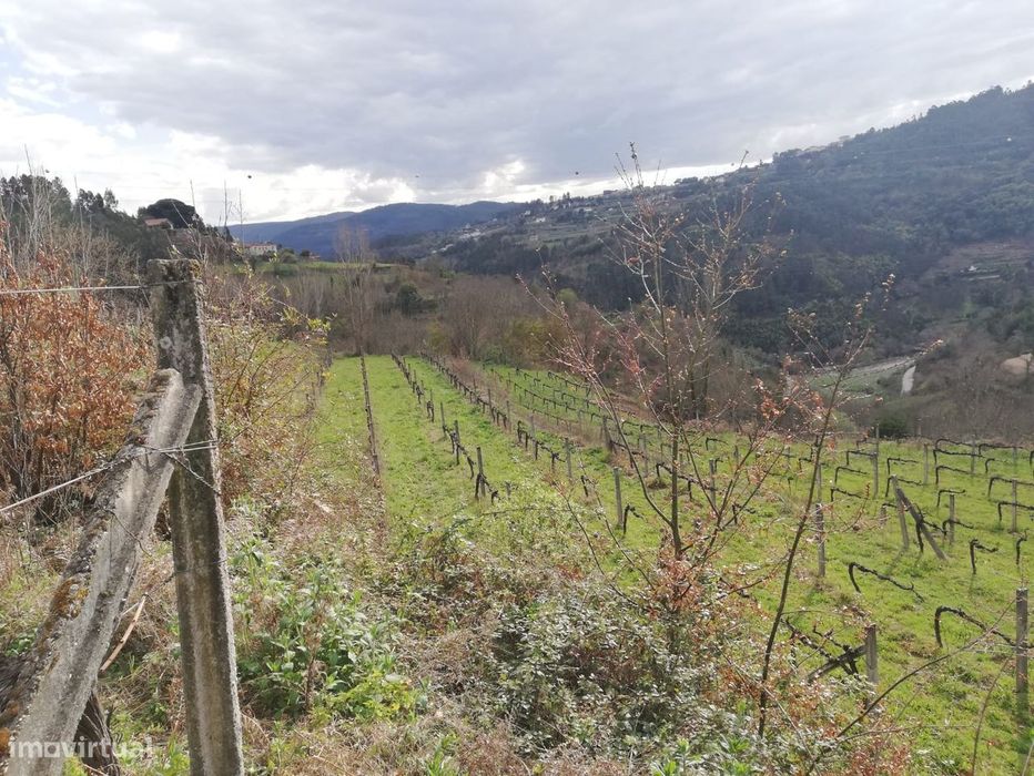 Terreno  Venda em Souselo,Cinfães