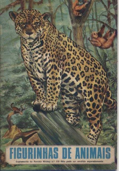 Cromos Colecções: Heidi - Kung Fu - Bruce Lee - Comboios e Animais