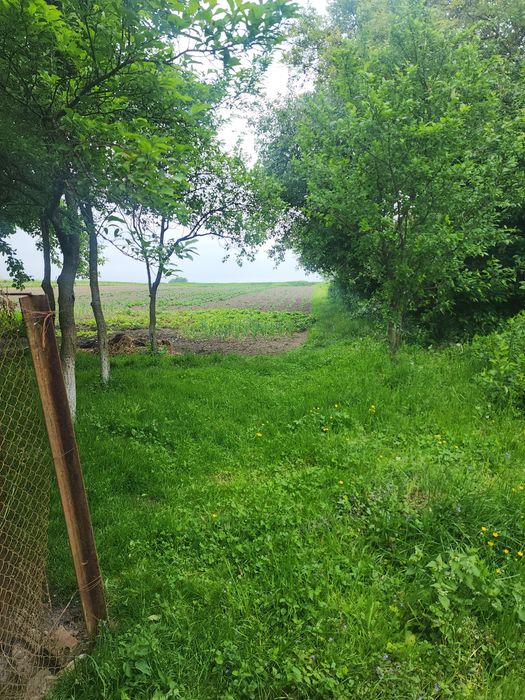 Будинок- дачу в мальовничому місці!