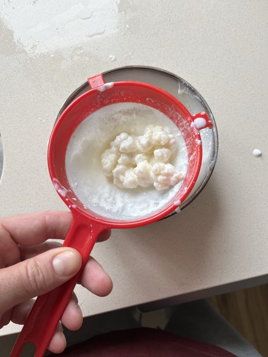Kefir de leite.