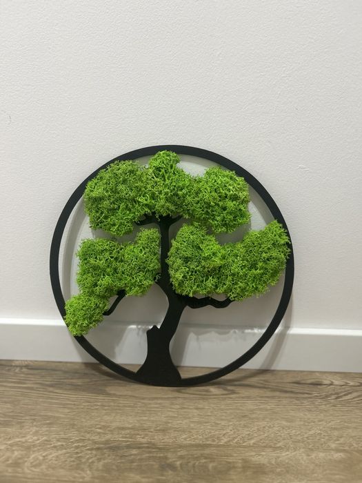 Obraz  Bonsai z  mchem 30cm