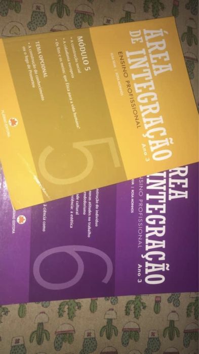 Area Integração 5 - Ensino Profissional