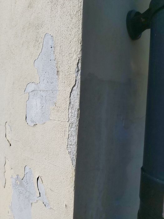 Malowanie ścian i ochrona przed glonem,  konserwacja.