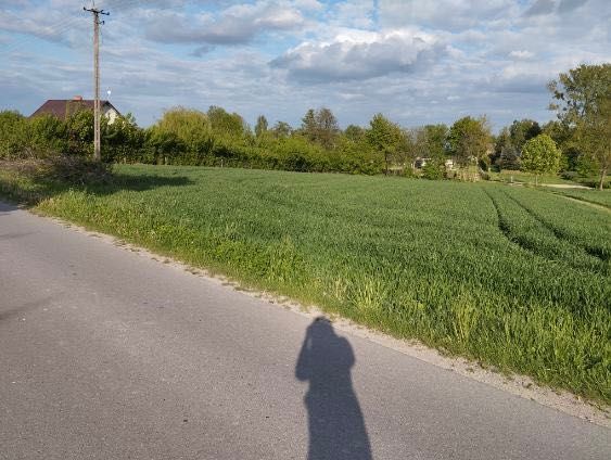 Sprzedam działkę Zdrapy powiat Kraśnik o pow. 3400 m2