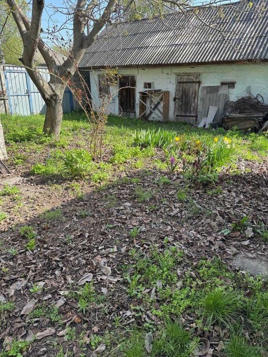 Продам будинок, 54 метри з ділянкою 23 сотки, Велика Димерка