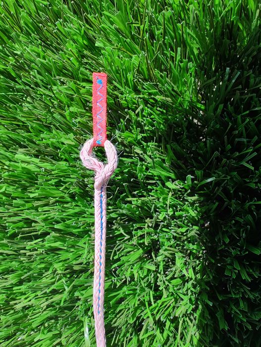 Kite Evo Nort (Duotone) 8 m