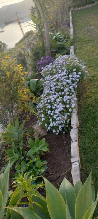 Montador de móvel jardineiro ou pintor