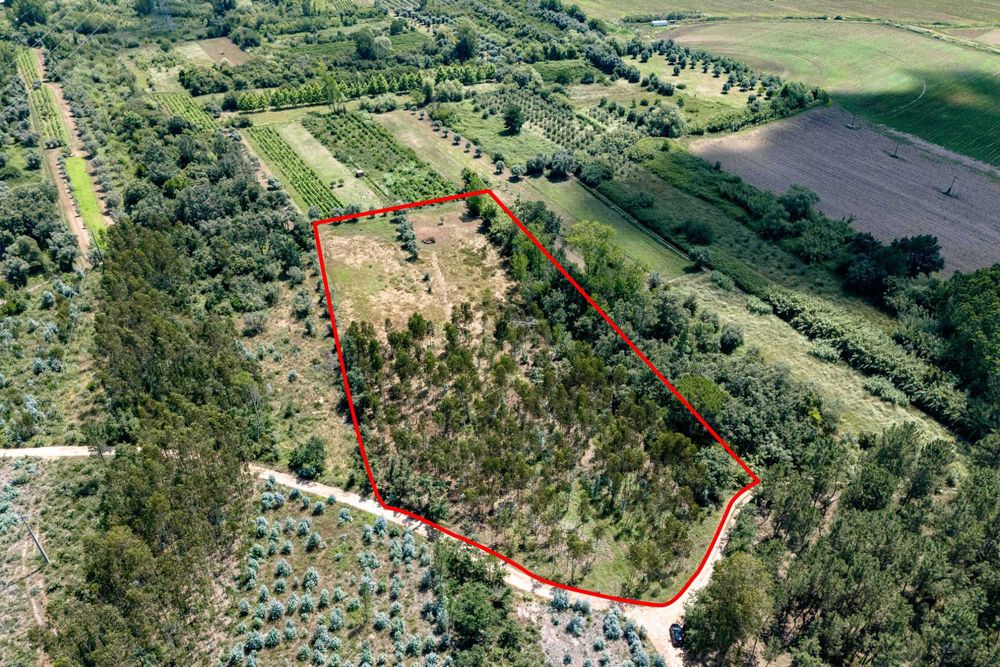 Vendem-se terrenos com viabilidade de construção ou para utilização agricula a partir de 20.000 euros.