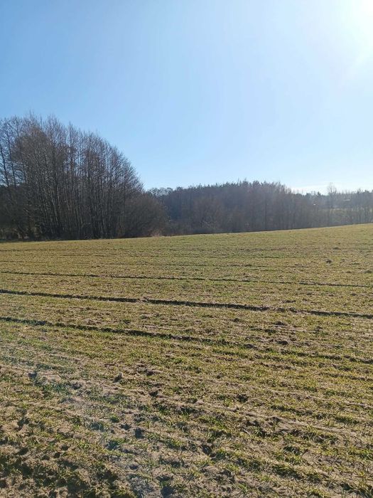 Działki budowlane 1000m2 Winduga