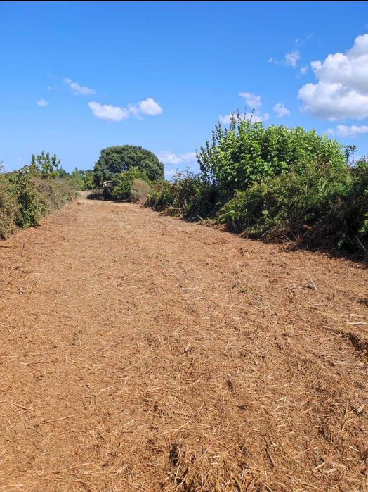 Terreno Rústico/agricola em Cardielos, Viana do Castelo