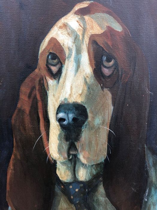 Obraz pies na płótnie