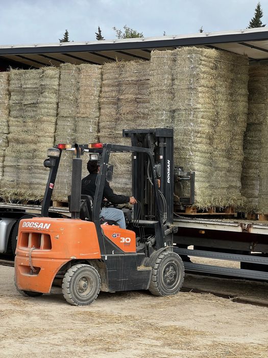 Feno Francês de Alta Qualidade – Fardos de 24 kg extra prensados