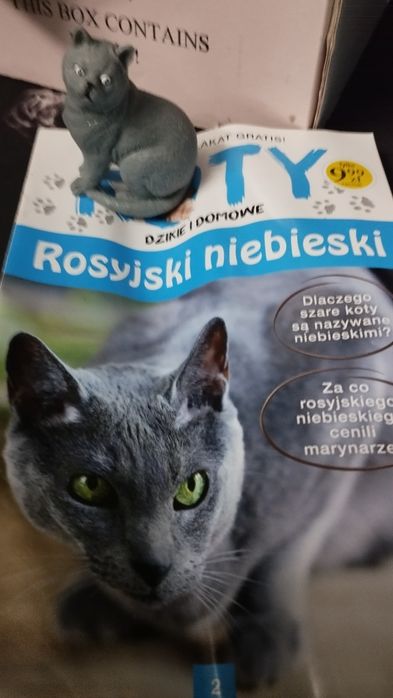 Rasy kotów - kolekcjonerskie