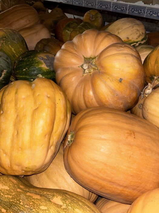 ABÓBORA MENINA - apenas 0,50 €/KG!