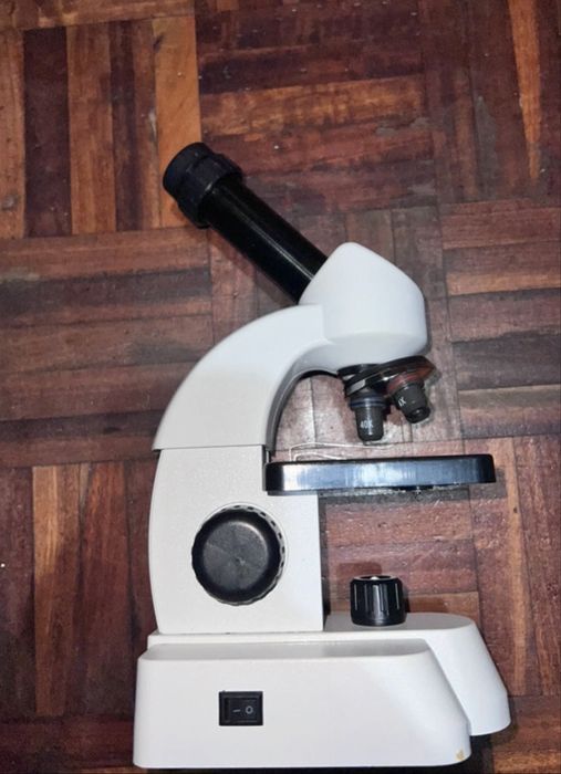 Microscopio infant445886382149488641