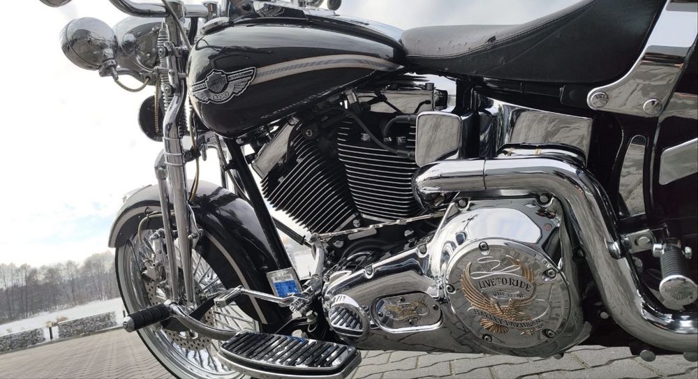 Harley Davidson Springer centenária