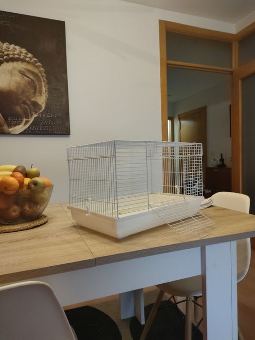 Gaiola hamster ou porquinho da Índia