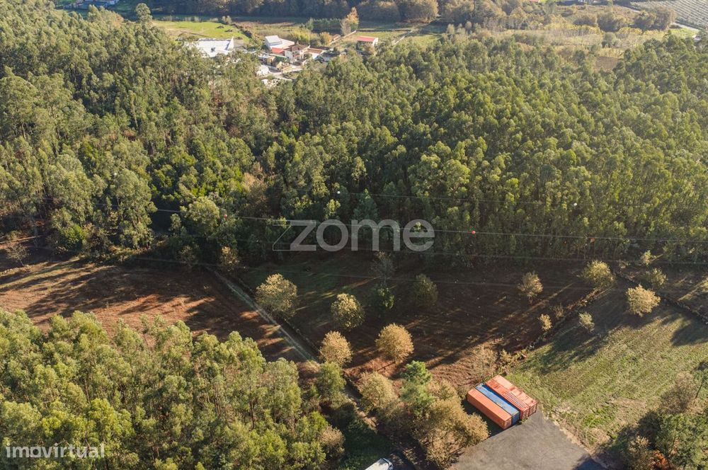 Terreno Rústico com 3.930 m2 na Carvalhosa, Paços de Ferreira
