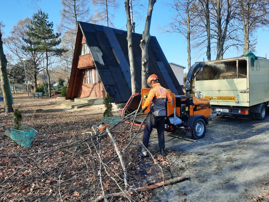 Cięcie przycinanie wycinka drzew Bełchatów Łódź Aleksandrów Pabianice