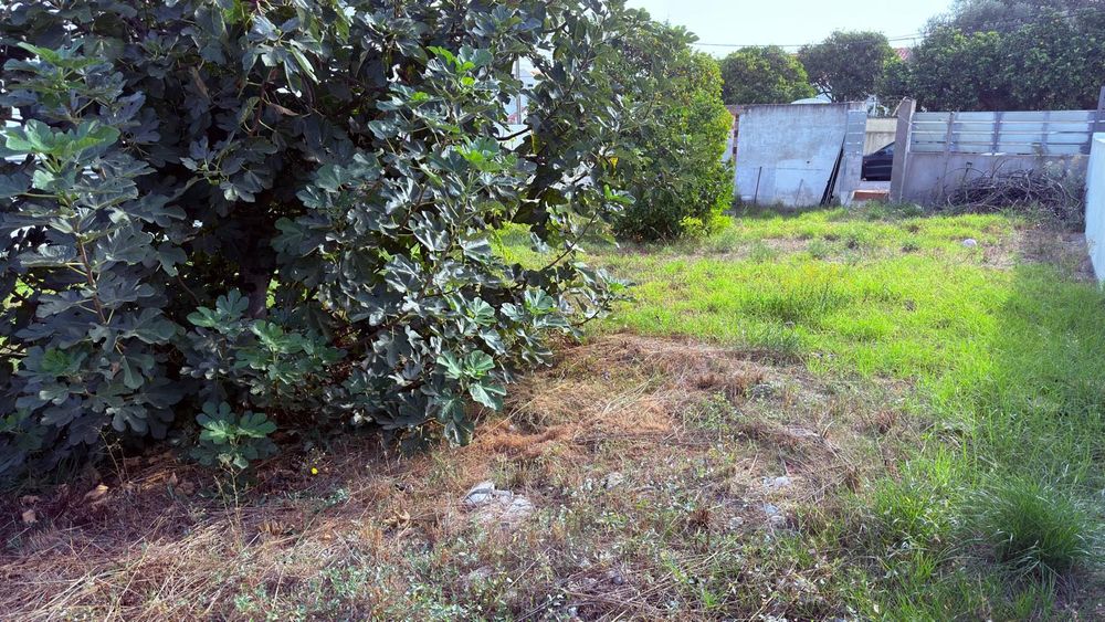 TERRENO em zona privilegiada da Sobreda